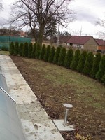 V dal�� etap� se komplet zm�nilo ztv�rn�n� letn� ��sti u baz�nu. Podle p��n� z�kazn�ka zde m�la vyr�st tropick� krajina.