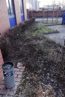 ... a zde si pros�m panstvo odlo�� sv� ku�ivo, rukul�b�m a jdu d�l jakoby nic ...
