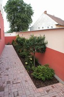 Tak jsme je ozelenili st�lezelen�mi rostlinami, aby bylo cel� rok na co koukat.
