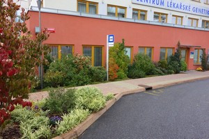 Mus�m uznat, �e po 6 letech m�me z t�to akce radost a �e radost d�l� i v�em z Centra l�ka�sk� genetiky. S minimem p��e jsou rostliny vit�ln� a kr�sn�, tak je�t� aspo� 60 zdrav�ch let!