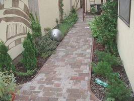 Dobr�m n�padem byly zakrsl� borovi�ky, ale bylo pot�eba jim d�m smysl a zakomponovat je do celkov� jinak stav�n�ho designu, kde vyniknou jak ony tak i rostliny odli�n�ho habitu.
