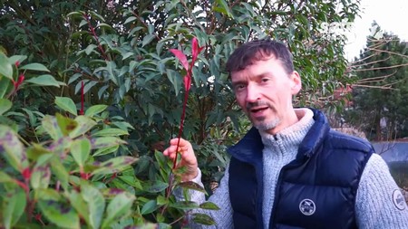 St�lezelen� ke�e pro lep�� n�ladu v zim�