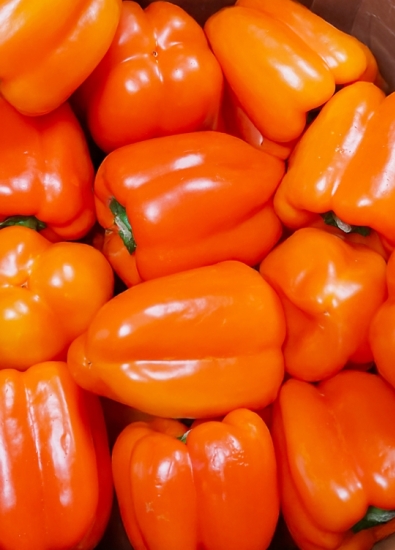 PAPRIKA JAKO Z�KUSEK