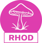 Rhodovit (erikoidn�)